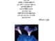 মহাবিশ্বের প্রাণ ও বুদ্ধিমত্তার খোঁজে pdf - অভিজিৎ রায়, ফরিদ আহমেদ Mohabiswe Pran O Buddhimottar Khoje pdf - Avijit Roy